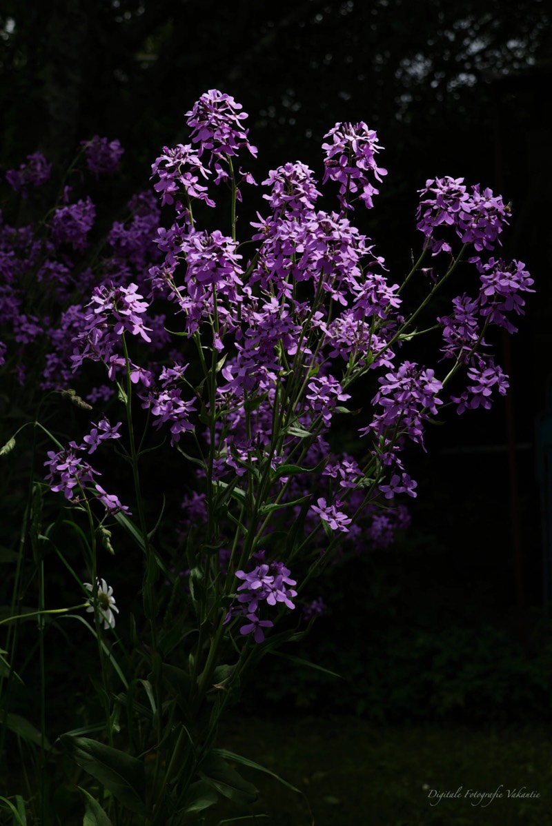 Stacks Image 178