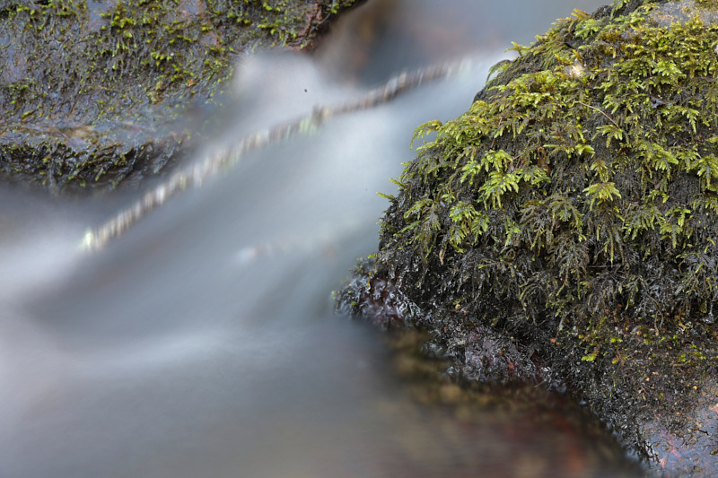Stacks Image 244