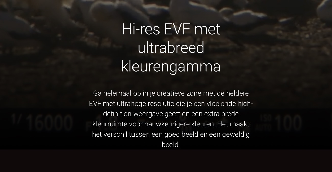 Scherm­afbeelding 2024-06-18 om 19.24.59