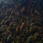 Gertjan-begin-herfst.jpg