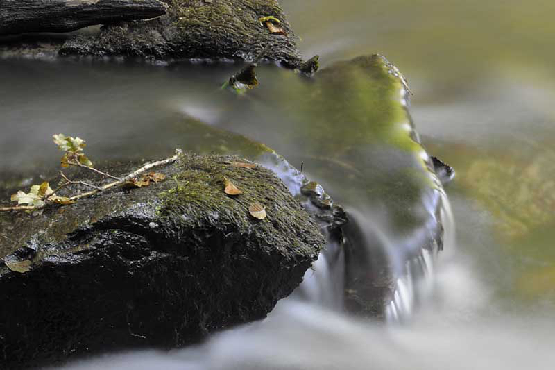Isabeau-groen-water.jpg