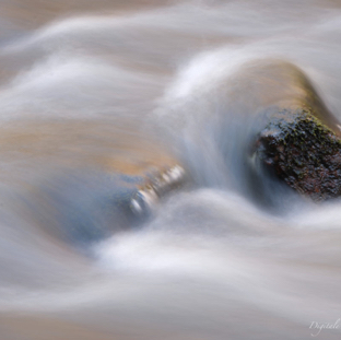 Iris steen en water.jpg