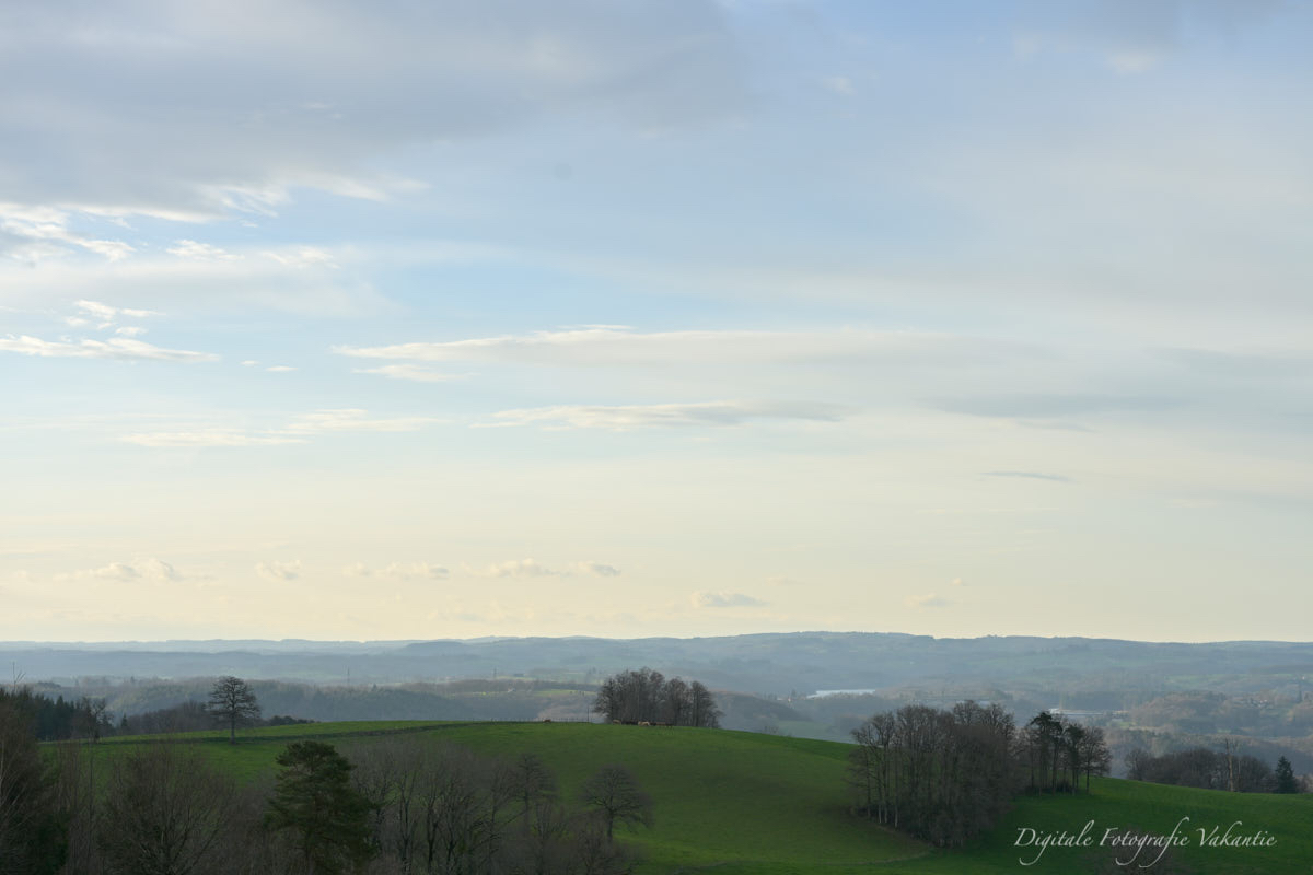 Marten listig landschap.jpg