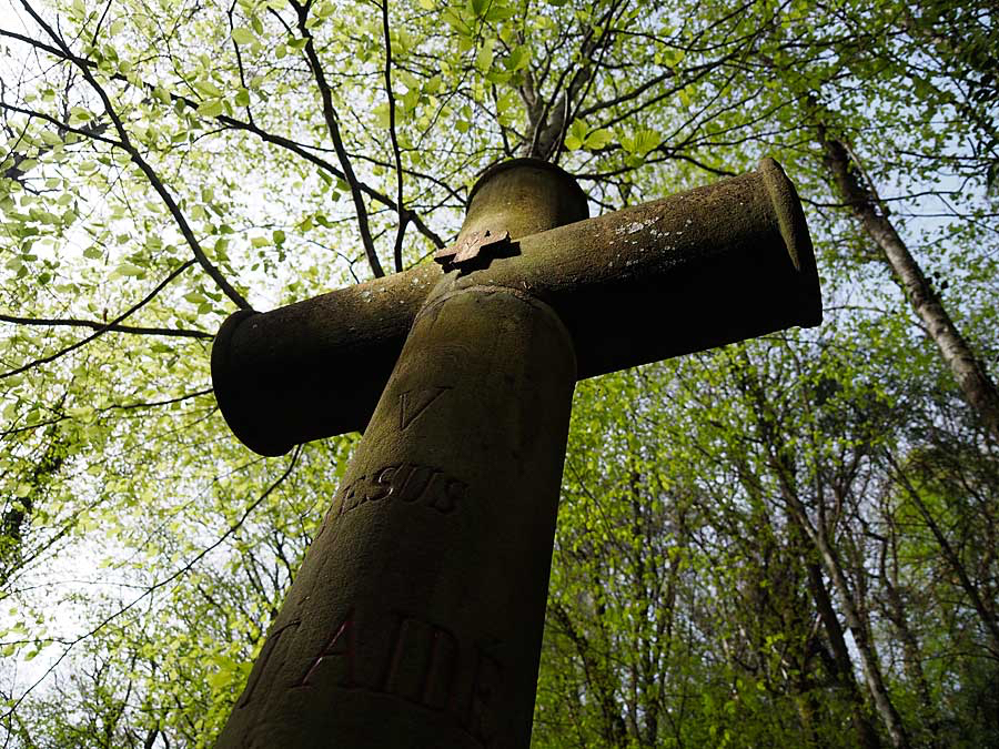 Jan-kruislaan.jpg