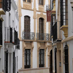 Dina-Ronda.jpg