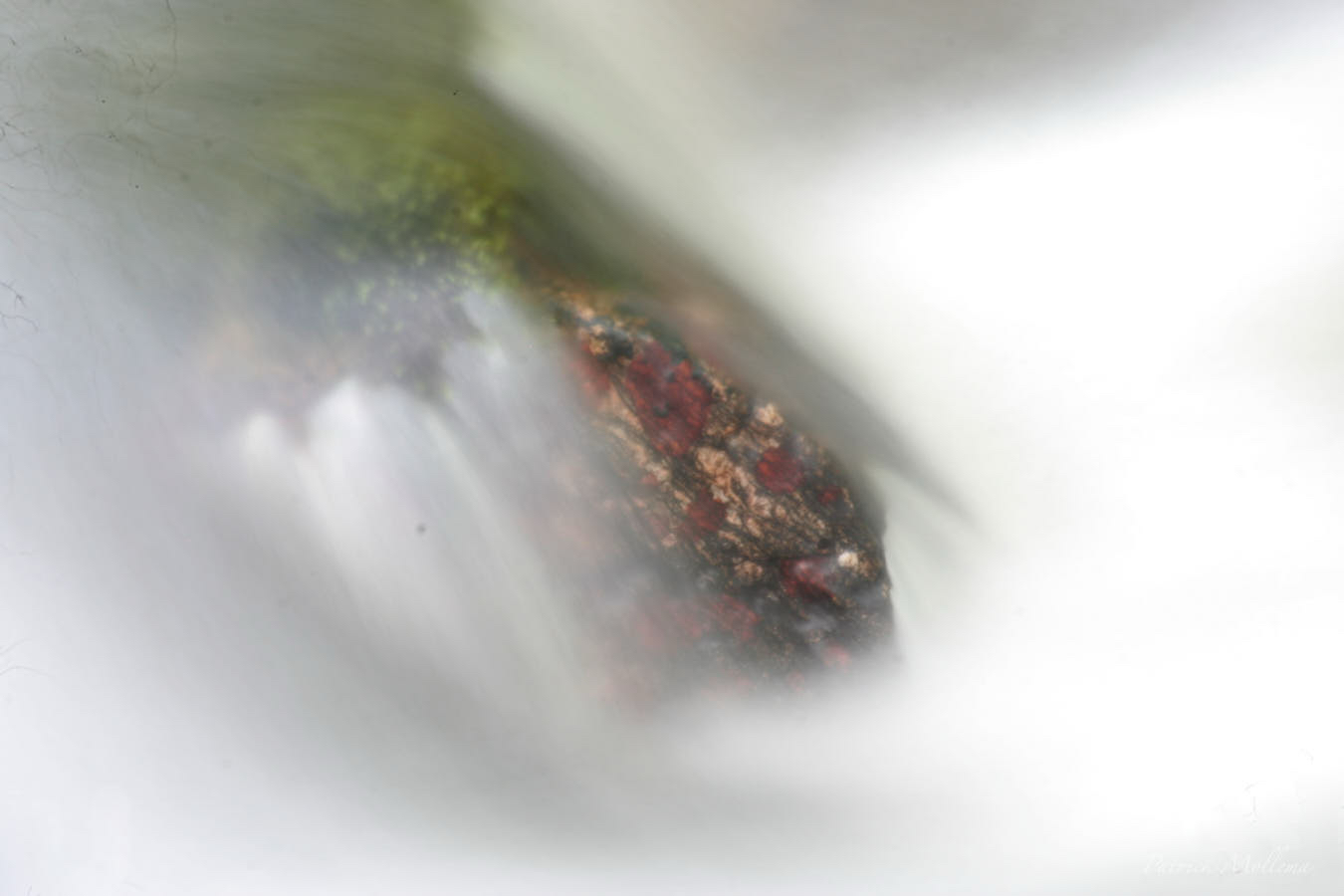 Friken boft met water.jpg