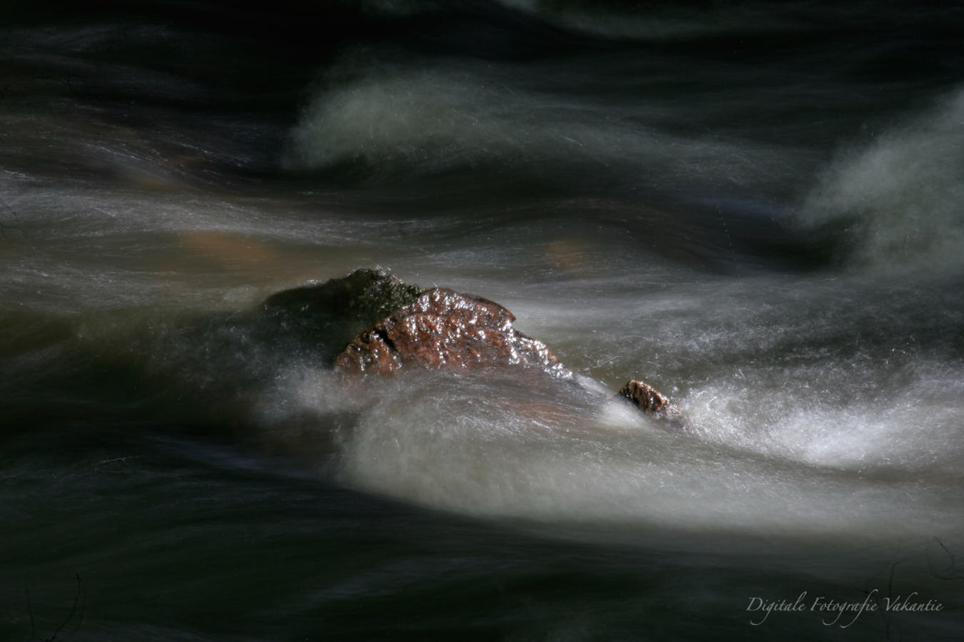 Friken donker water.jpg