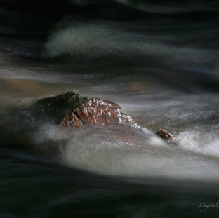 Friken donker water.jpg