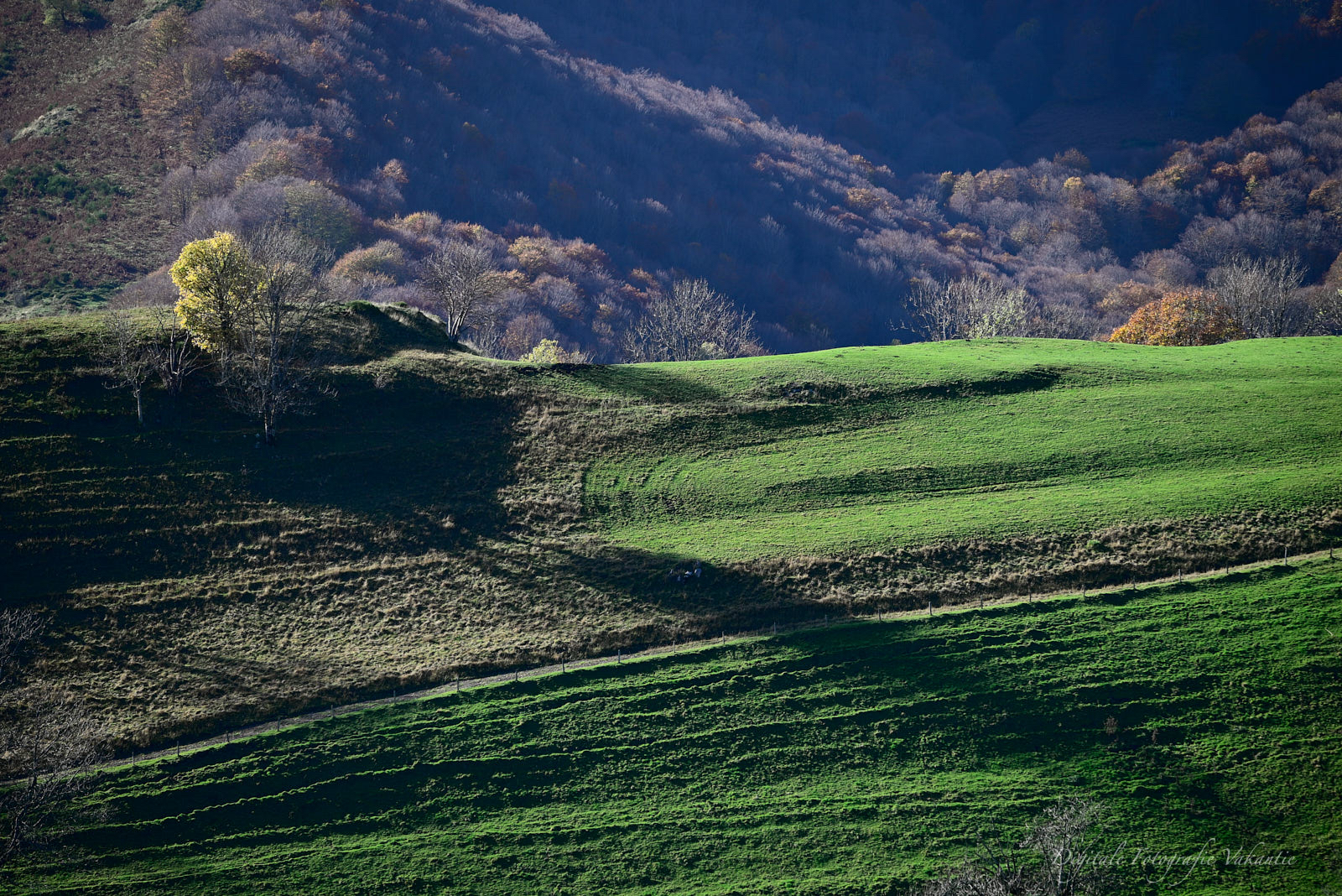 Jan Col de Petrus.jpg