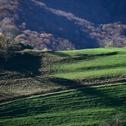Jan Col de Petrus.jpg