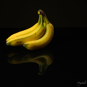 Carlo/lia bananas.jpg