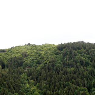 Alex rucbof landschap.jpg